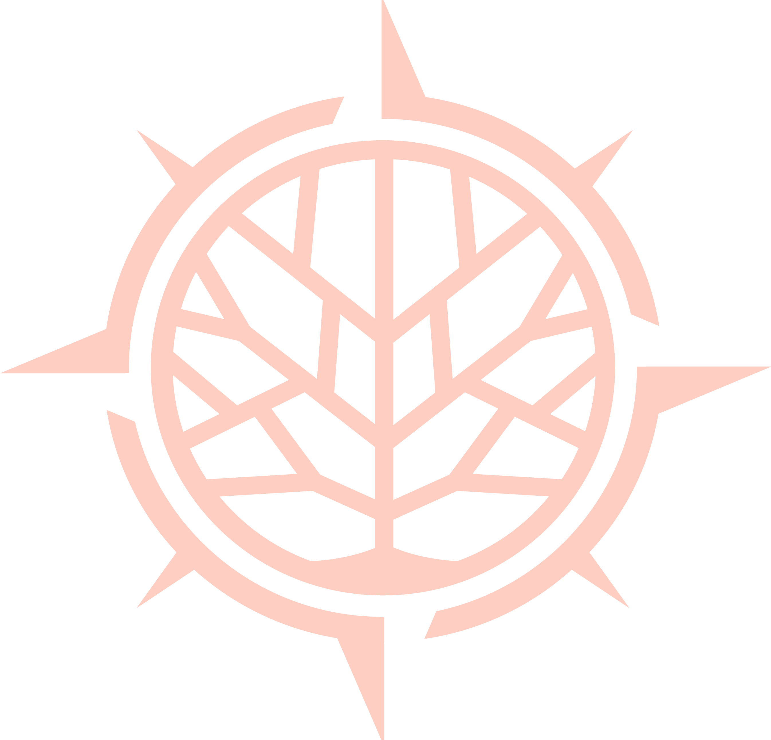 Life Lovers Magazine®