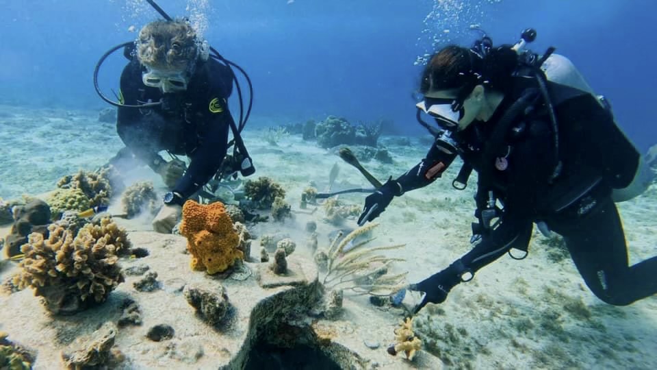 Saving our Seas through Coral&nbsp;Restoration