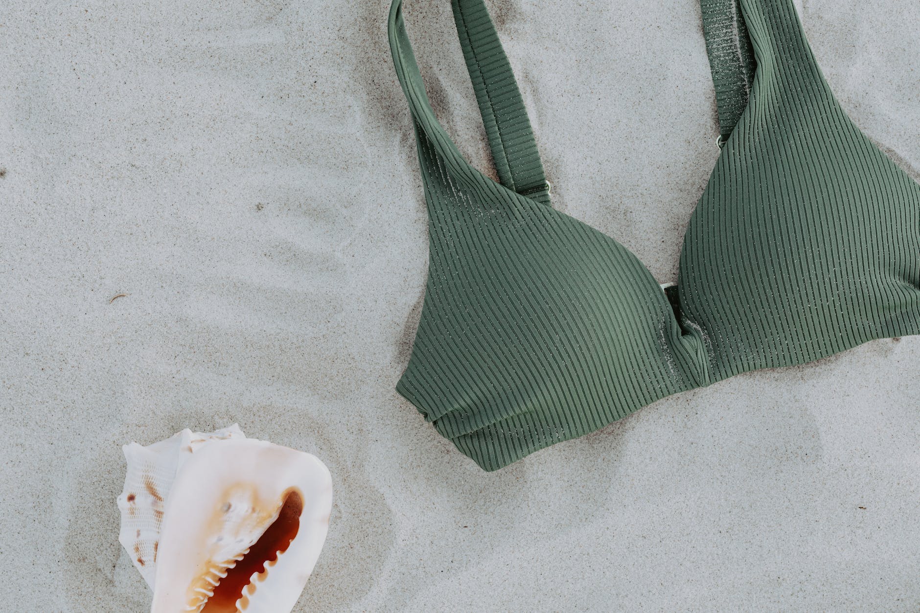 A green bikini top in the sand next to a seashell. 