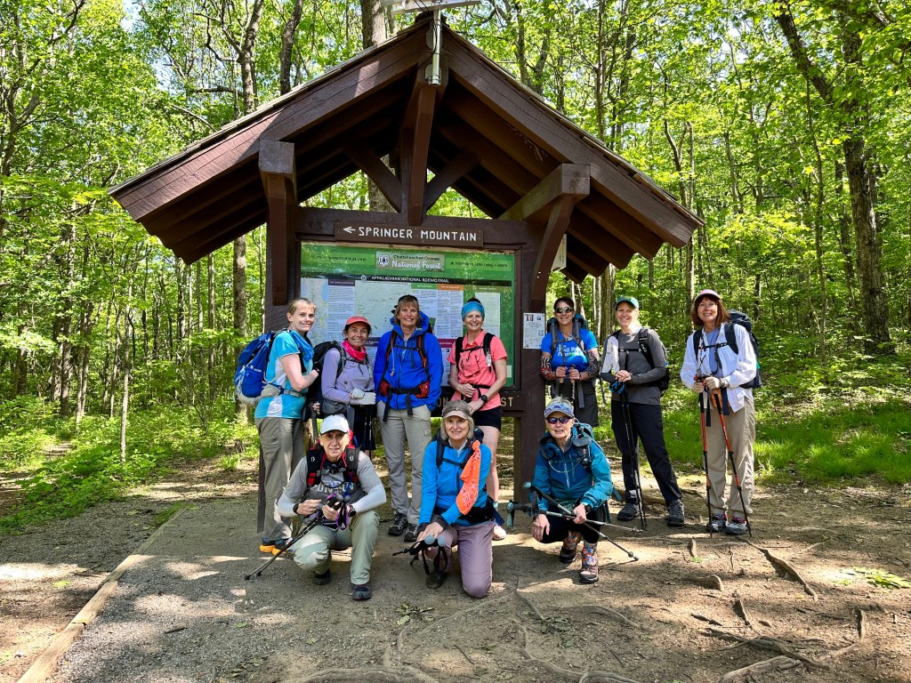 A group of explores in a forest carrying their backpacks and hiking equipment.