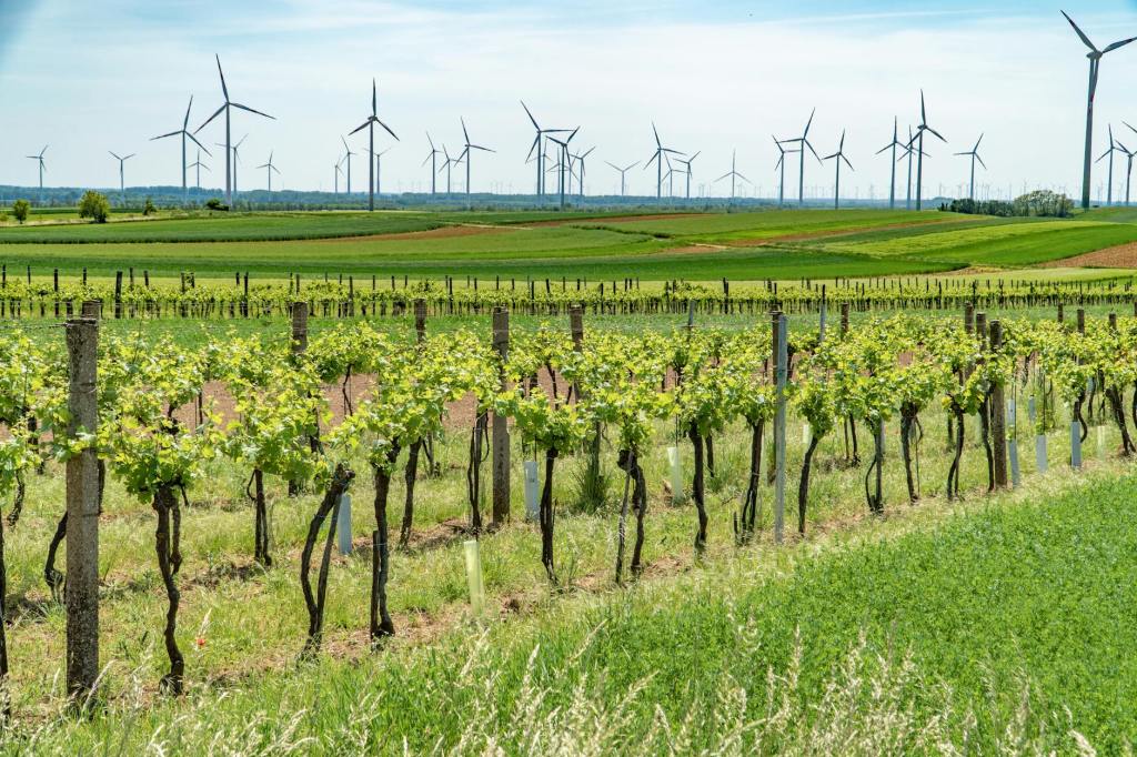 Game-Changing Green Tech: Innovations That Could Save Our&nbsp;Planet